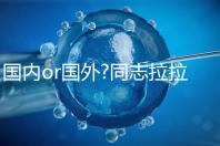 國內or國外?同志拉拉試管嬰兒前這些準備不得不談