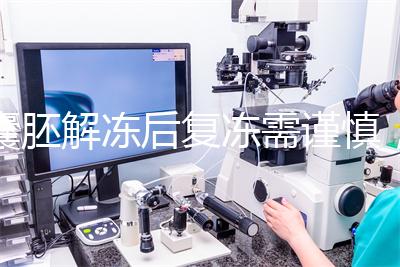 囊胚解凍后復凍需謹慎，這些對胚胎質量的影響不可不知