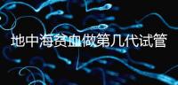 地中海貧血做第幾代試管嬰兒？要看看地貧的表現(xiàn)型