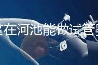 地貧在河池能做試管嬰兒嗎？廣西哪些醫院能做第三代試管？