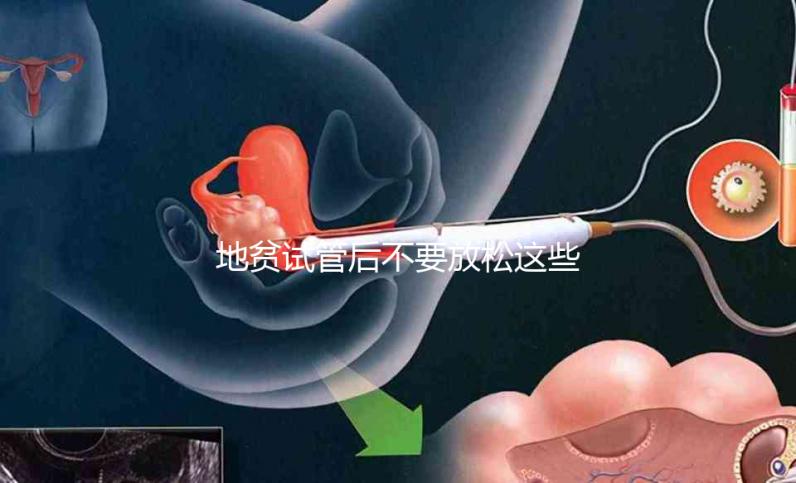 地貧試管后不要放松這些注意事項，不健康的飲食要小心，以前所有的工作都要放棄
