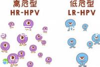 體育場每天開放嗎(體育場每天開放嗎現(xiàn)在)