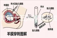 促排第十五天卵泡不成熟還可以治療！1.2等幾天就能長大