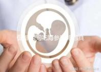 促排期間吃海參對卵泡真管用，不想取卵空泡找上門快做攻略