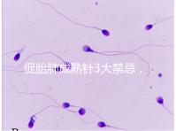 促胎肺成熟針3大禁忌，這份使用前注意事項(xiàng)請查收