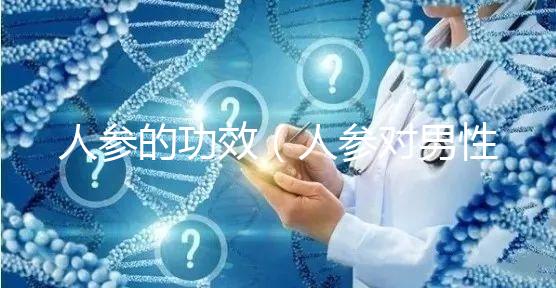 人參的功效(人參對男性性功能有效嗎)