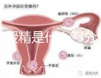 人工授精是什么?3分鐘讀完這篇文章，解答你所有疑問
