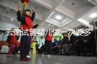 云南試管嬰兒做一次要多少錢？2024年助孕價格清單