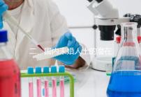 二、國內(nèi)未婚人士的潛在選擇與風險