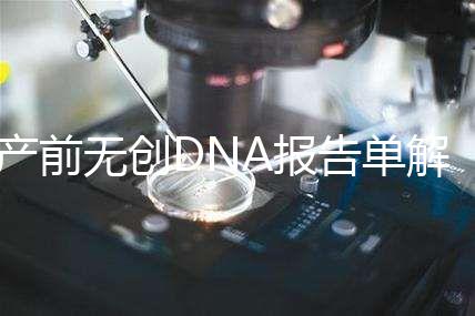 產(chǎn)前無創(chuàng)DNA報(bào)告單解讀:三項(xiàng)結(jié)果竟然暗示寶寶性別
