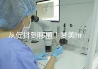 從促排到移植！夢(mèng)美hrc試管嬰兒流程共7步