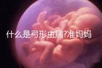 什么是弓形蟲病?準媽媽必須要提防的一種傳染疾病