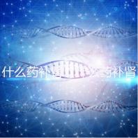 什么藥補(bǔ)腎(什么藥補(bǔ)腎壯陽(yáng)效果最好)