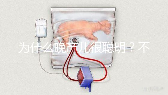 為什么晚產(chǎn)兒很聰明？不要被智商比同齡人高誤導