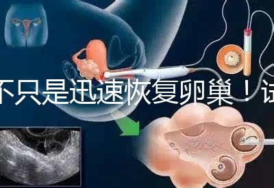 不只是迅速恢復(fù)卵巢!試管取卵后吃蘿卜的3大好處匯總