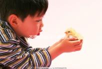 不清楚南昌催乳素催乳素催收如何收費快速閱讀，專業問題讓你花更少的錢