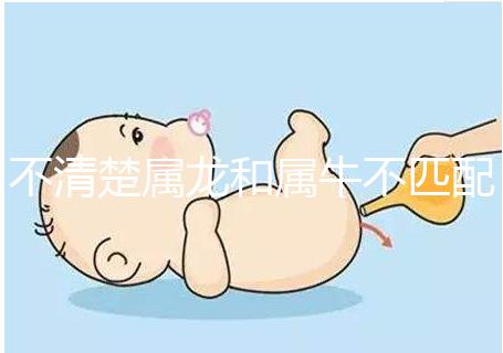 不清楚屬龍和屬牛不匹配戳，再一起看財運就夠了