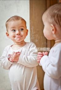 不造只有一個凍胚8細胞二級成功率高不高進，能否著床來瞅