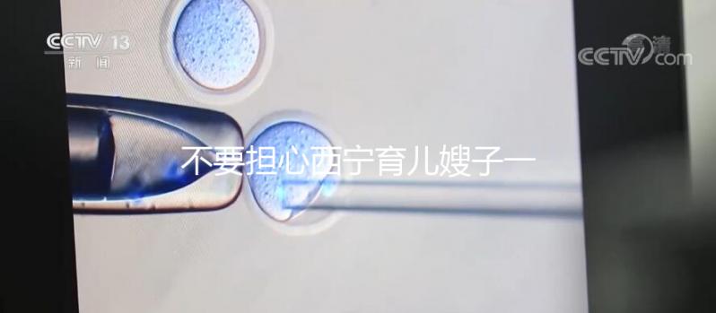 不要擔(dān)心西寧育兒嫂子一個月多少錢，關(guān)心機構(gòu)是否正式