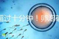 不超過十分鐘！卵泡破裂到輸卵管的時間，備孕必收藏