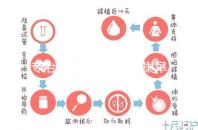 專治停經、絕經、卵巢早衰?利維愛的作用與適應癥分析