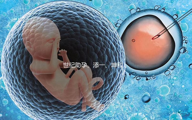 世紀(jì)助孕、添一、坤和,一起來看看上海助孕公司哪家好?