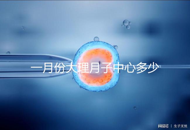 一月份大理月子中心多少錢早知道，2024年排名前十的機構