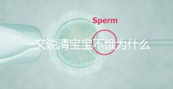 一文說(shuō)清寶寶不餓為什么瘋狂找奶，找準(zhǔn)原因才好解決