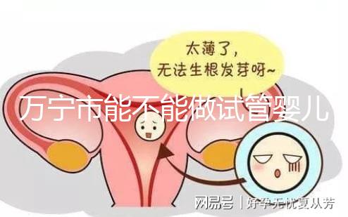 萬寧市能不能做試管嬰兒？姐妹們都去哪里做試管？
