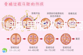 三門峽哪里能做試管嬰兒?從經(jīng)歷談成功率和費(fèi)用