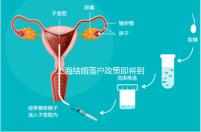 上海結(jié)婚落戶政策即將到來,包括2024年黃浦區(qū)詳細(xì)的戶籍流程