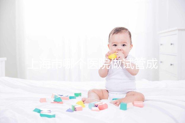上海市哪個醫(yī)院做試管成功率高最好的？