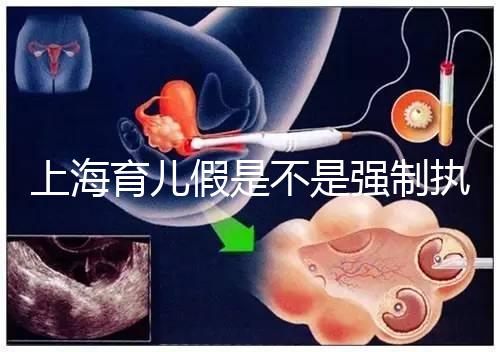 上海育兒假是不是強制執行已明確，2024虹口區何時執行戳