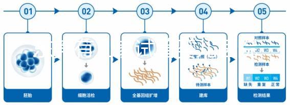 東莞有幾家試管嬰兒醫院？不同生殖中心費用和成功率詳解