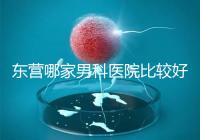東營哪家男科醫(yī)院比較好?十家機(jī)構(gòu)實力競爭激烈