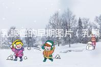 乳腺癌的早期圖片(乳腺癌初期小疙瘩圖片)