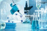 探究黃熱病疫苗的作用，去非洲、南美洲國家接種很有必要