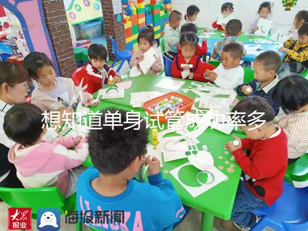 想知道單身試管成功率多少看這，過(guò)來(lái)人真實(shí)案例揭秘真相