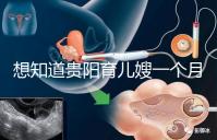 想知道貴陽(yáng)育兒嫂一個(gè)月戳多少錢，云巖2萬(wàn)夠不夠