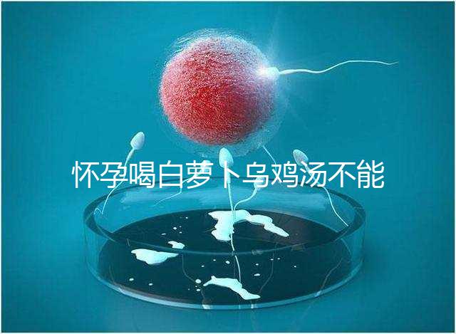 懷孕喝白蘿卜烏雞湯不能止孕吐?選對(duì)做法安胎又養(yǎng)顏