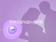 懷孕天數(shù)與血hcg對(duì)照表參考，孕早期排除病理性生化妊娠