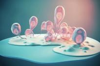 成都早教中心費用表來襲，2024年哪個便宜？