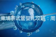 柬埔寨試管嬰兒攻略:周期和時間規劃全解析!