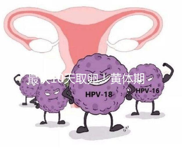 最快10天取卵！黃體期促排需要多長時間看這個指標