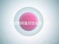 月經期間盲目性生活，搞不好真的會出人命！