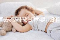 有去泰國(guó)做試管嬰兒的嗎(有去泰國(guó)做試管嬰兒的嗎知乎)