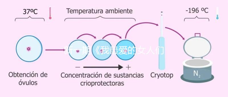 新一期《我最愛的女人們》,蔡少芬自曝第一胎曾小產