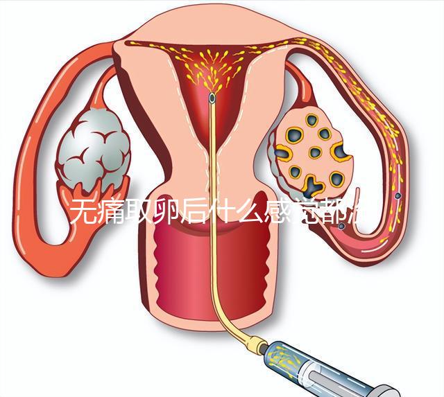 無痛取卵后什么感覺都沒有異常是謠言！只會出現(xiàn)一部分...