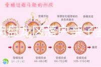 昆明盤(pán)龍區(qū)落戶親子鑒定在哪里看這,2024流程、費(fèi)用都有