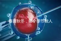 春夏秋冬,哪個(gè)季節(jié)做人工授精成功率最高?